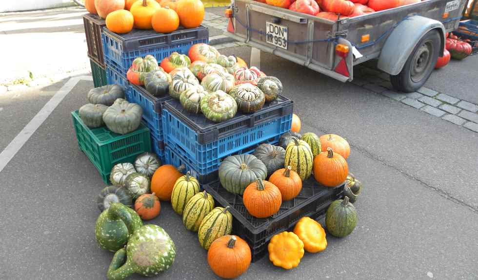 Herbstmarkt 2014