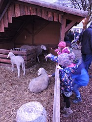 Christkindlesmarkt und Wintermarkt 2016 in Oettingen