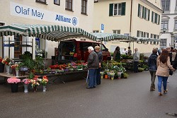 Maimarkt 2015