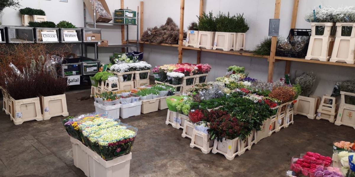 Oettinger Blumen - Verkauf an Floristen, Gärtnereien und Blumenfachgeschäfte